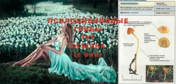 MDMA Балабаново