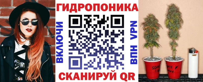 МАРИХУАНА гибрид  Галич 
